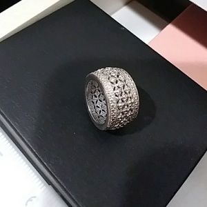 Beauty in Silver color